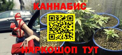 герыч Будённовск