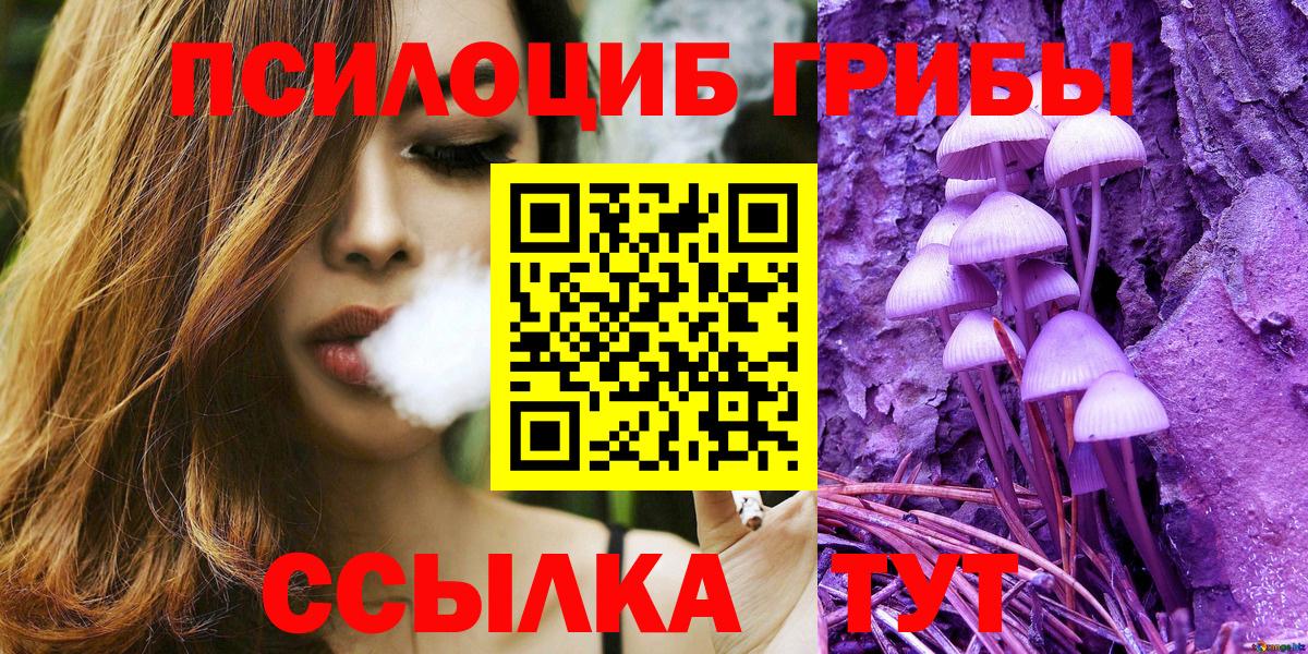 Галлюциногенные грибы Cubensis Мценск
