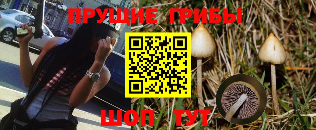 Галлюциногенные грибы мицелий  Псилоцибиновые грибы Psilocybe  Вход с VPN  где найти   Мценск 